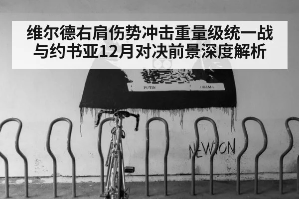 维尔德右肩伤势冲击重量级统一战 与约书亚12月对决前景深度解析