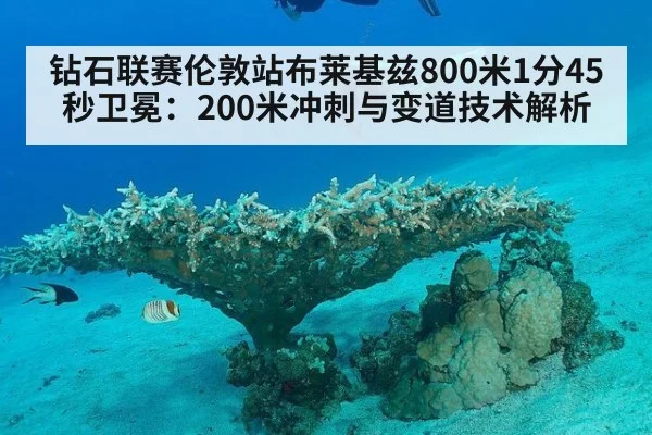 钻石联赛伦敦站布莱基兹800米1分45秒卫冕:200米冲刺与变道技术解析